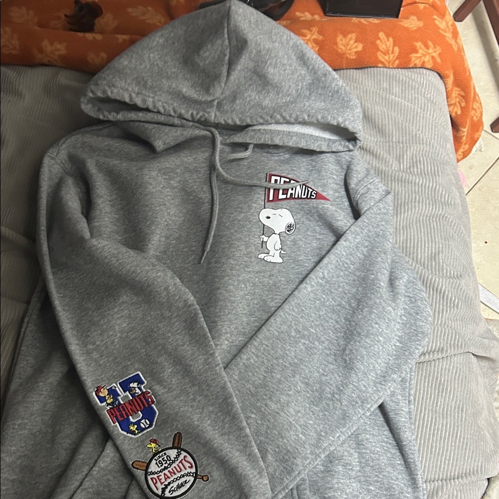 Peanuts Gray Sweatshirt with Colorful Characters